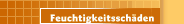 Feuchtigkeitssch&auml;den